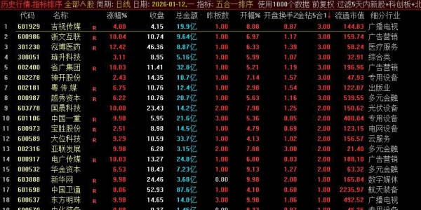 通达信【5合1竞价共振】组合共振强中选强竞价排序指标 优选5合1中数值大的票「6金币」