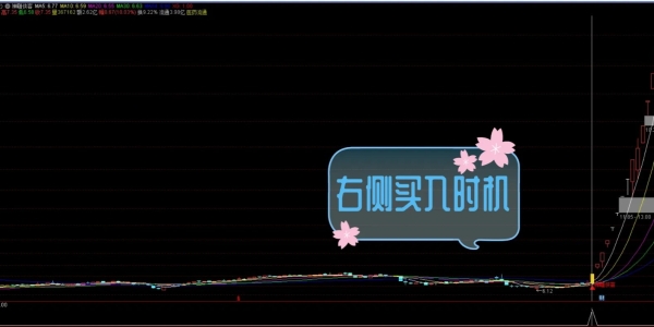 通达信【神雕侠客】多重技术捕捉买入机会与机构大单同期介入「SVIP免费福利」