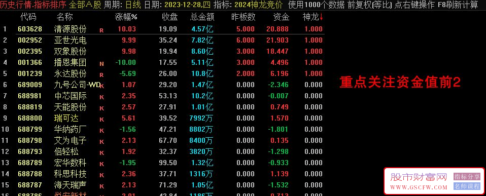 通达信【2024神龙竞价】竞价排序指标，信号全天不变！源码附图_展示图_03