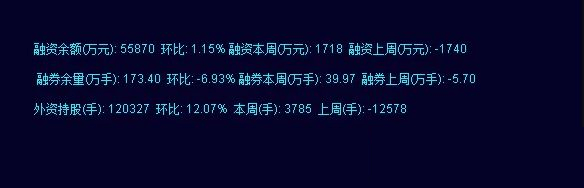 通达信融资余额、融券余量副图指标,数据信息显示附图_展示图_01