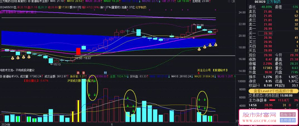 通达信股道秘术成交量指标3.0版,详细说明附图_展示图_05