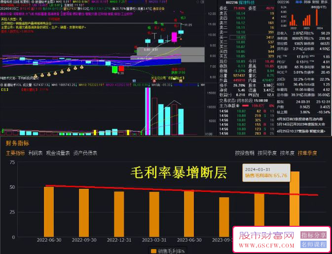 通达信【Q1季度毛利率爆增断层】选股器,价值重磅分享,附图_展示图_01