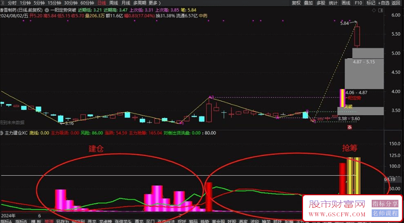 通达信主力建仓+吸筹副图指标,主力力度色块越多主力越强！源码_展示图_02