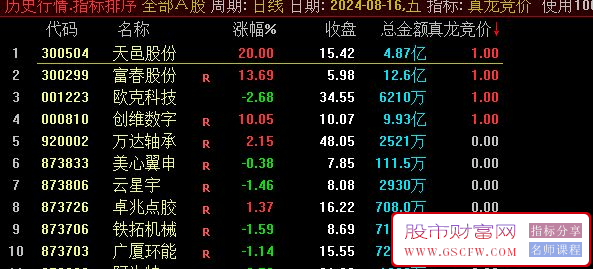 通达信【真龙竞价】根据网上某甲思路修改而成,华仔作品,指标源码_展示图_01
