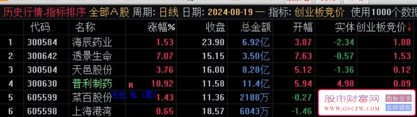 通达信【创业板专用竞价】副图排序,选票靠大,指标源码,附图_展示图_02
