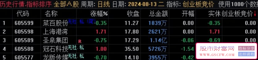 通达信【创业板专用竞价】副图排序,选票靠大,指标源码,附图_展示图_06