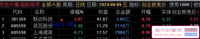 通达信【创业板专用竞价】副图排序,选票靠大,指标源码,附图_展示图_08
