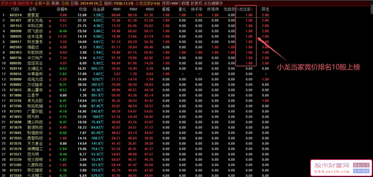 通达信【小龙当家】竞价系统技术指标:升级优化的集合竞价排序与选股利器，含副图+选股_展示图_01