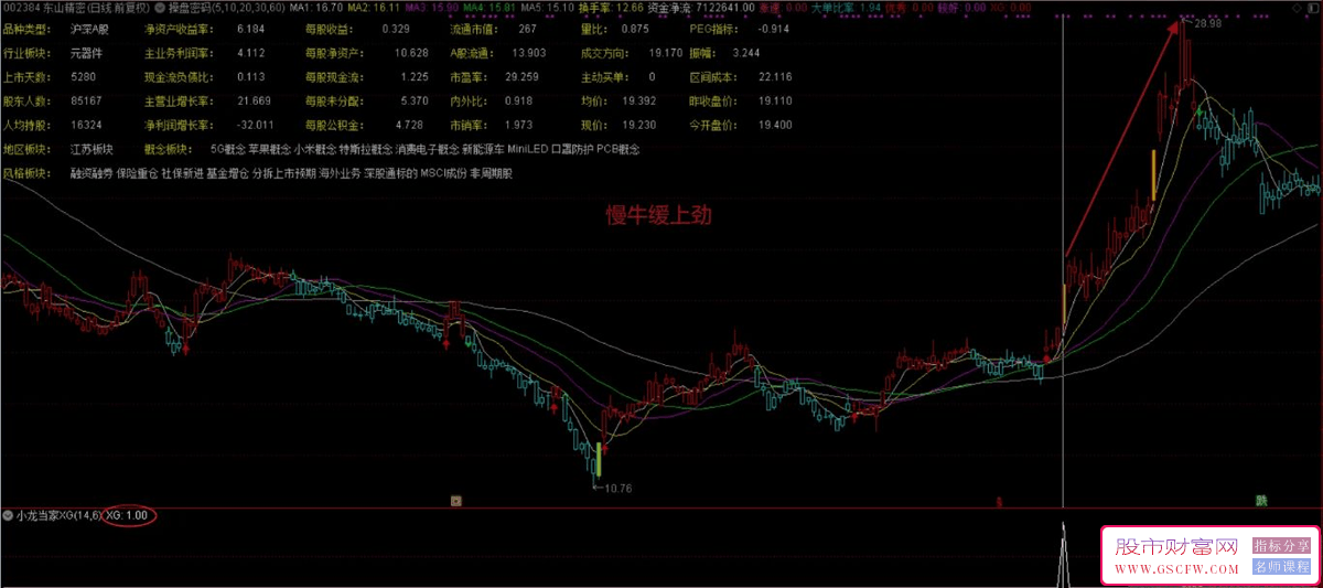 通达信【小龙当家】竞价系统技术指标:升级优化的集合竞价排序与选股利器，含副图+选股_展示图_07