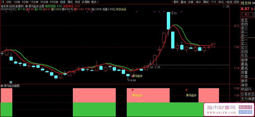 通达信黑马起步主副图+选股系统，短线翻倍起航的波段操作策略指标_展示图_02