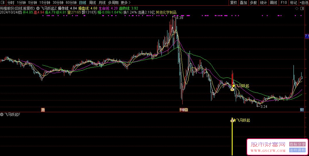 通达信【飞马跃起】捕捉中期飞马信号牛股手机电脑通用无未来_展示图_10
