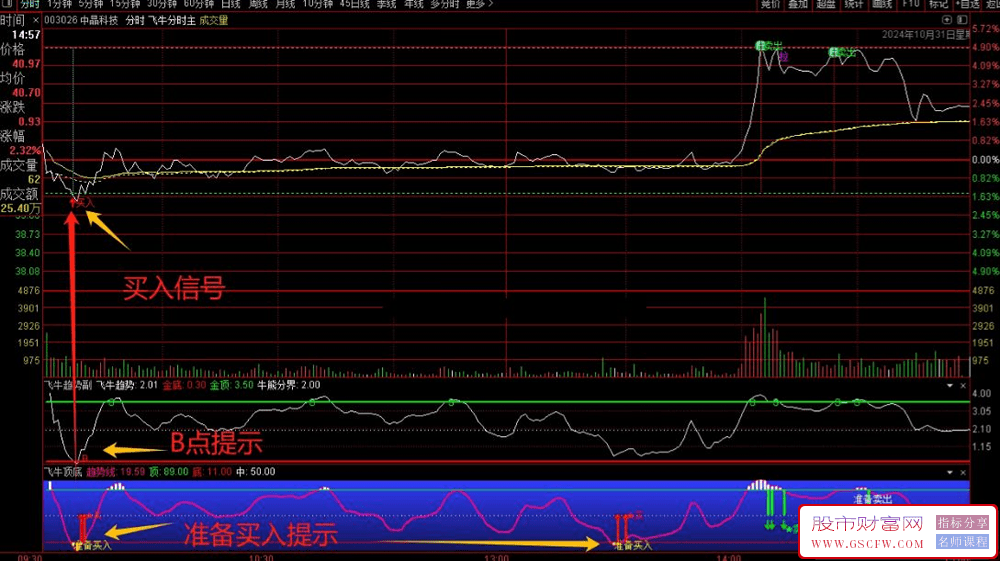 通达信【飞牛分时】套装-,实时买卖信号分析_展示图_01