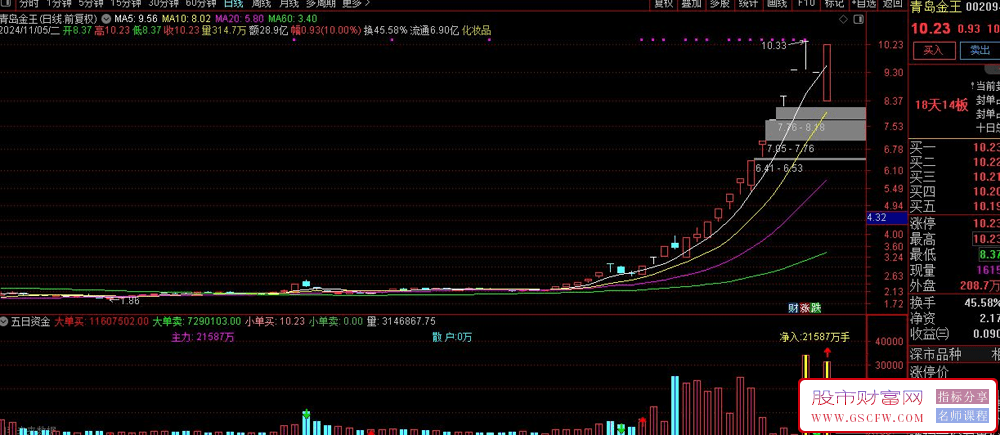 通达信五日资金流向副图指标——通过成交量类型深度洞察成交量动力_展示图_02