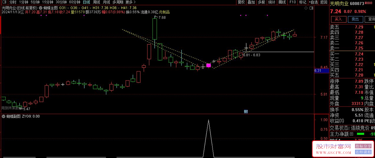 通达信【蝴蝶形态实战技巧】主副图+选股某平台售价888元的专业技术分析工具,源代码提供_展示图_04