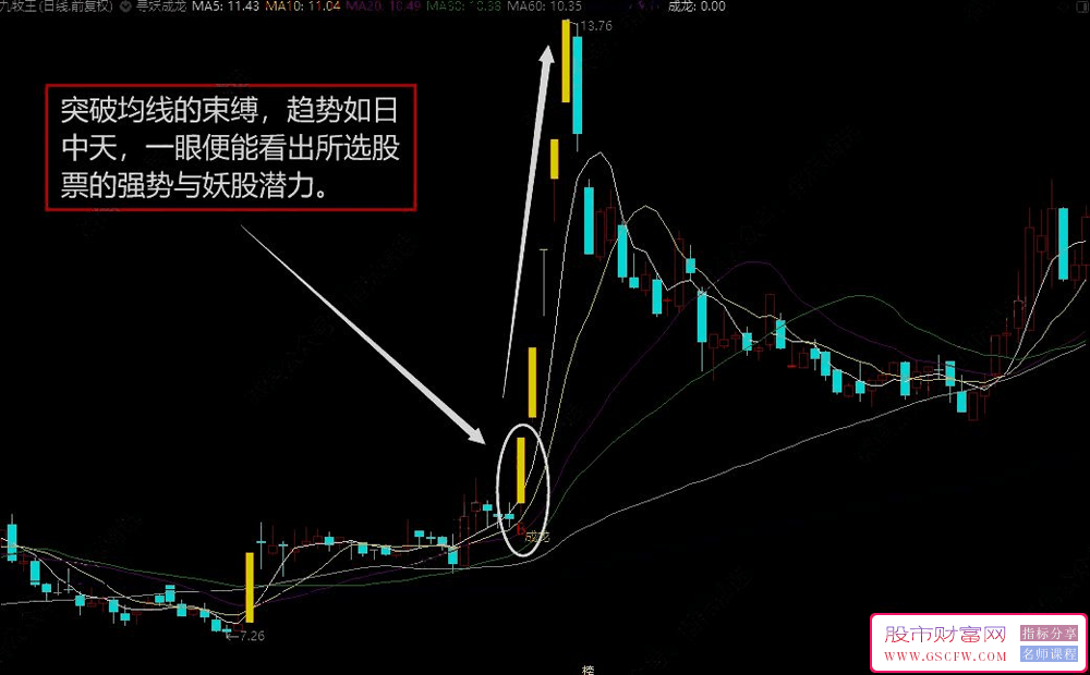 通达信寻妖成龙主图+选股,突破之后迎暴涨_展示图_01