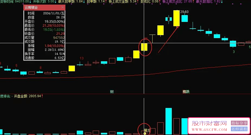 金钻指标【屠龙竞价】主副图+竞价排序,加入最新竞价涨停买数据,胜率超80%_展示图_05