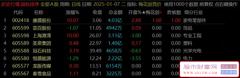 通达信【梅花剑+太子剑】早盘竞价排序,快速锁定优质目标,指标源码,永久版！_展示图_04