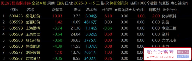 通达信【梅花剑+太子剑】早盘竞价排序,快速锁定优质目标,指标源码,永久版！_展示图_05
