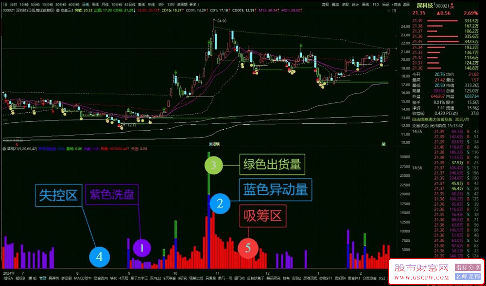 通达信DS量能副图指标,区域化利用deepseek找到分区,明确主力意图_展示图_01
