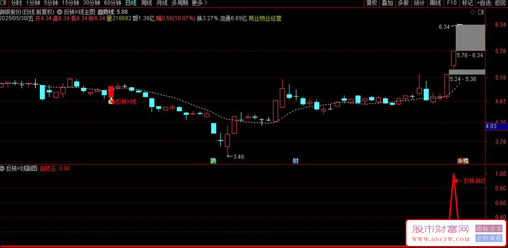 通达信〖反转K线〗主副图+选股,识别趋势反转点,适合短线追涨_展示图_06