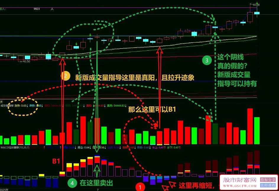 通达信【MACD柱状偏移】副图指标,色差长短判断买点_展示图_08