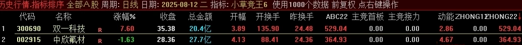 小草竞王第6版,号称网上所有的竞价指标的原型,主竞首板、主竞接力等四项_展示图_04 ... ...