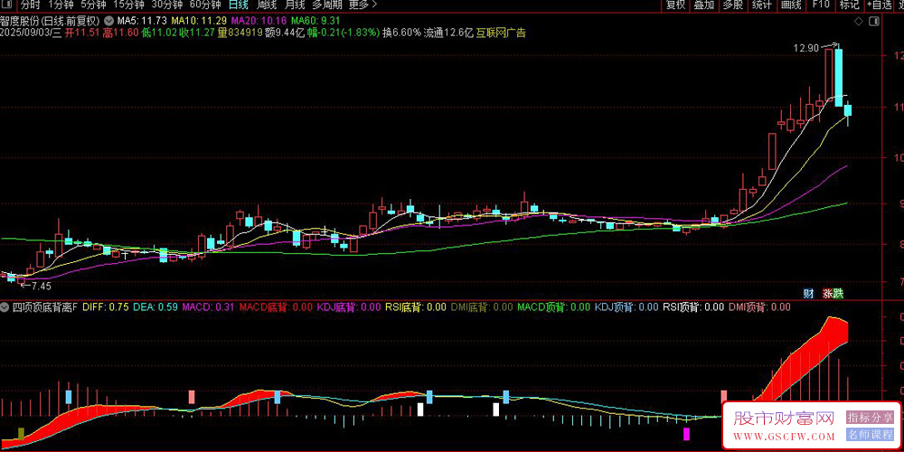 通达信〖四项顶底背离〗副图指标,MACD/KDJ/RSI/DMI同图_展示图_04