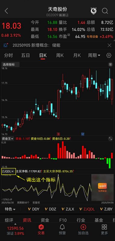 通达信【资金王】L2副图指标,别人的算法结合了自己的思路自编,涨停回调超级好用_展示图_06 ...