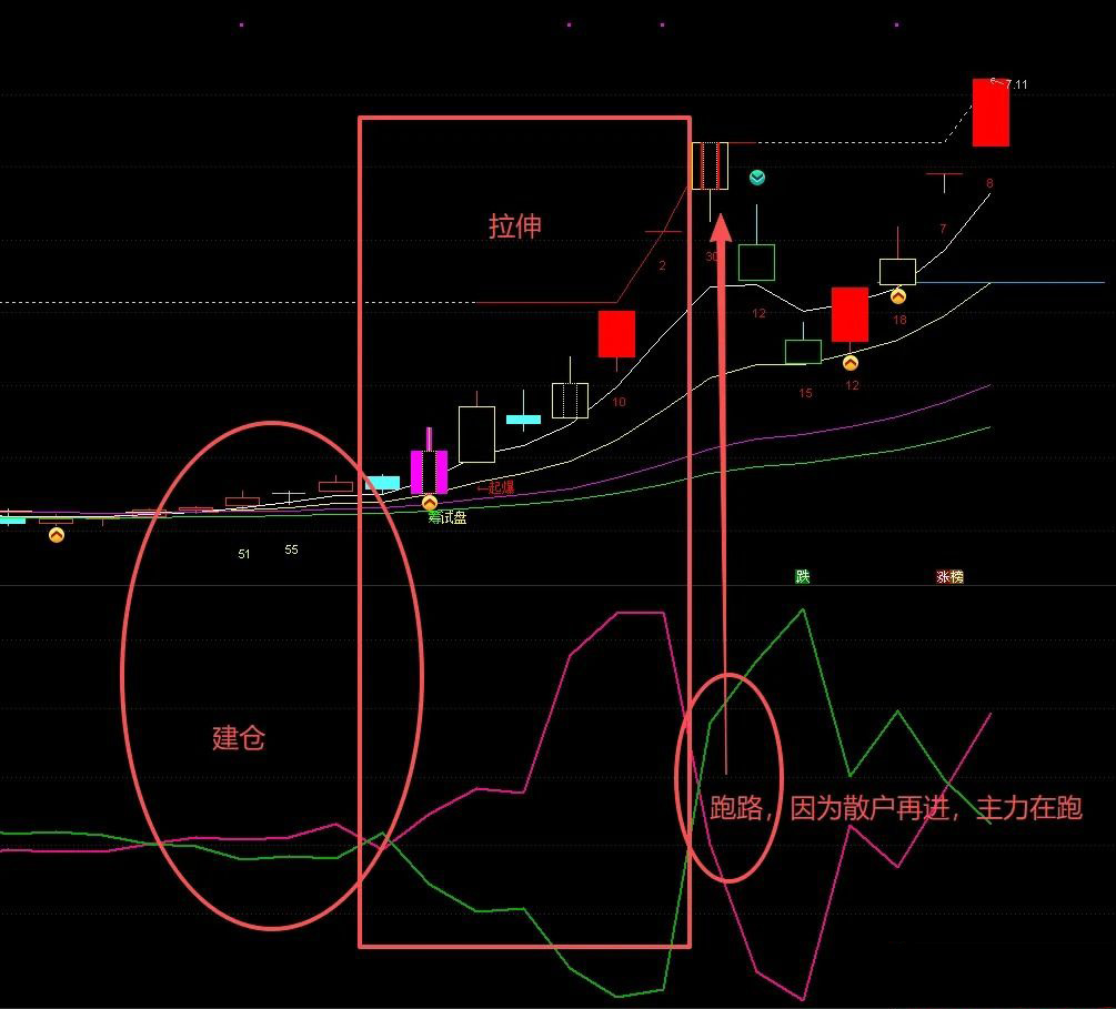通达信【资金4线】副图，解密超级资金和散户之间的关系,需L2支持_展示图_02 ...