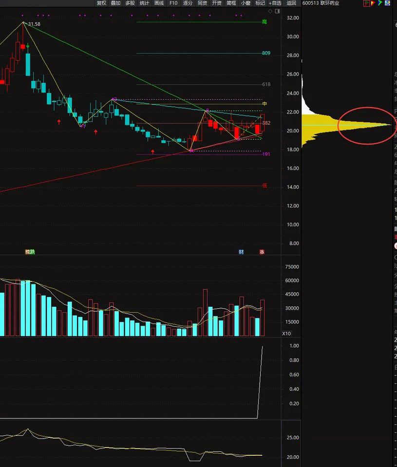 顶格筹码峰的计算——判断主力动向、捕捉强势股的重要技术指标,副图+选股_展示图_05 ... ...