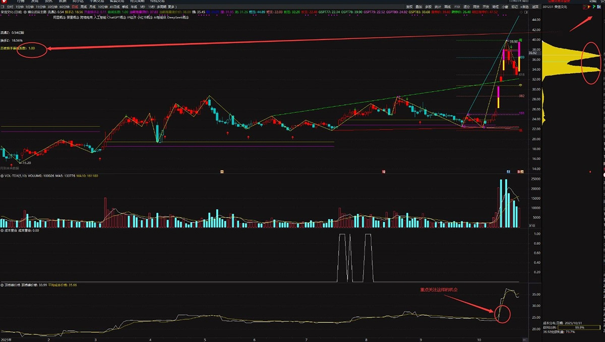 顶格筹码峰的计算——判断主力动向、捕捉强势股的重要技术指标,副图+选股_展示图_10 ... ...
