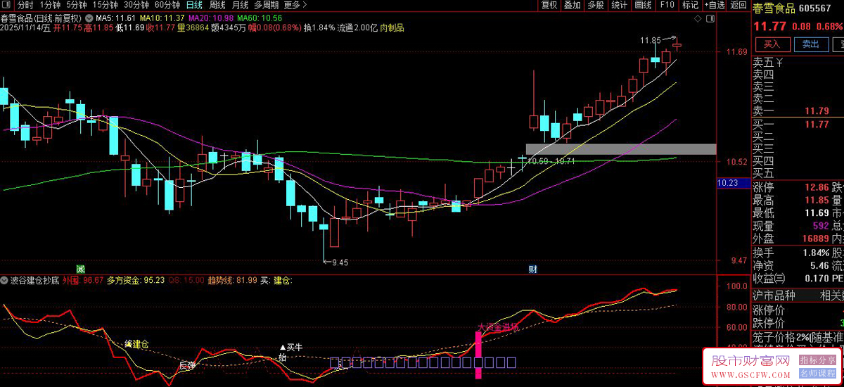 通达信〖波谷建仓抄底〗副图+大资金进场选股,趋势与资金动量分析指标_展示图_04