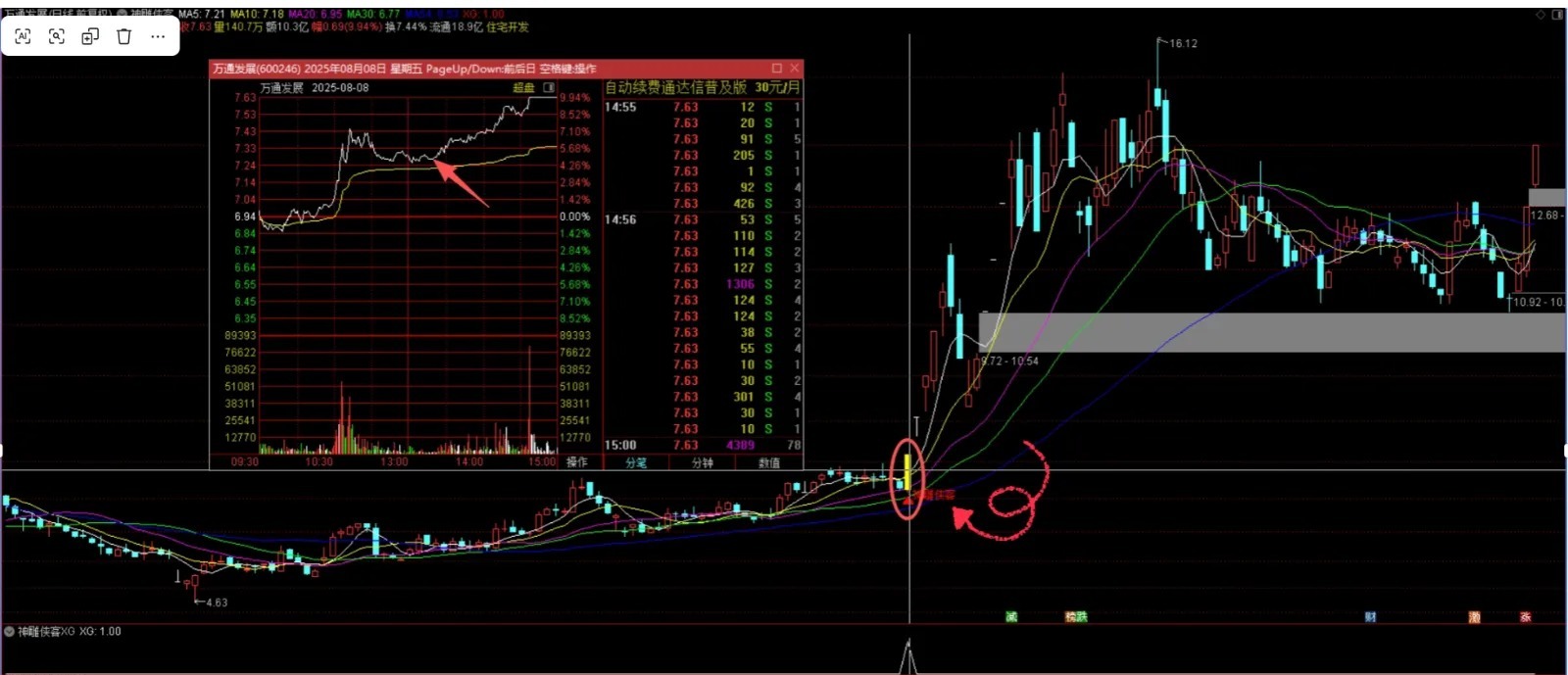 通达信【神雕侠客】多重技术捕捉买入机会与机构大单同期介入,主副图+选股_展示图_06 ... ...