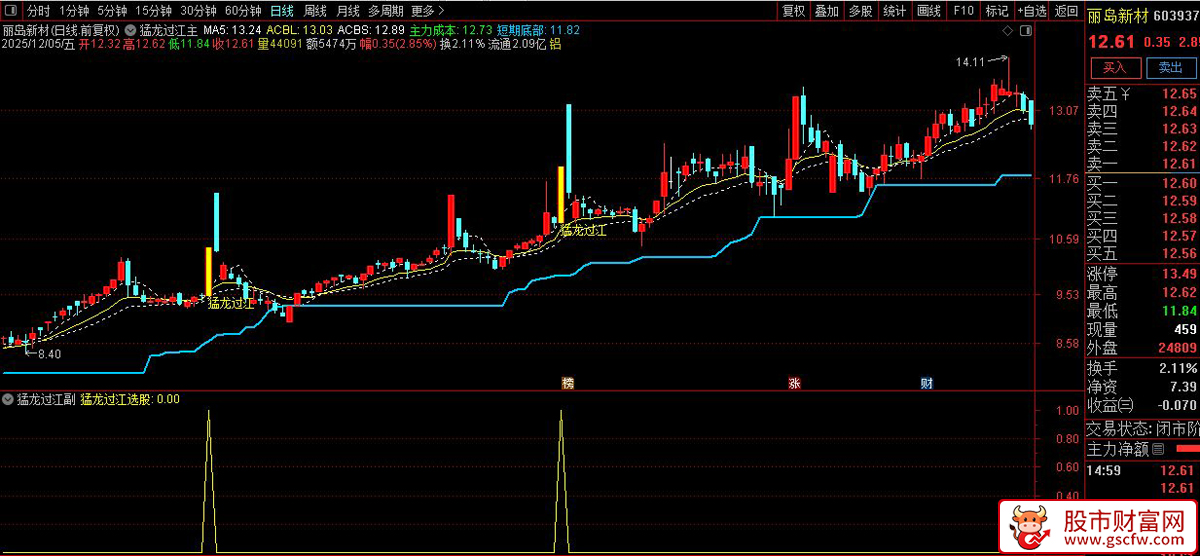 通达信〖猛龙过江〗套装指标,识别强势股突破行情_展示图_04