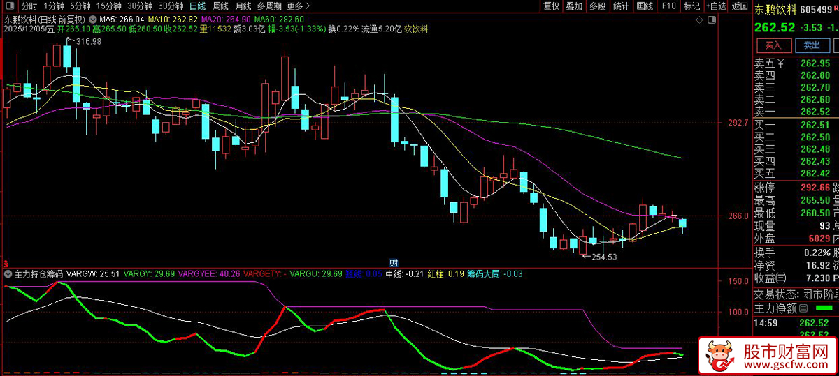 通达信〖主力持仓筹码〗副图指标,精准捕捉主力动向的利器_展示图_03