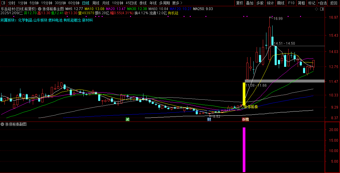 2026【涨停前奏】主副图选股，识别股票可能涨停的前奏信号_展示图_11