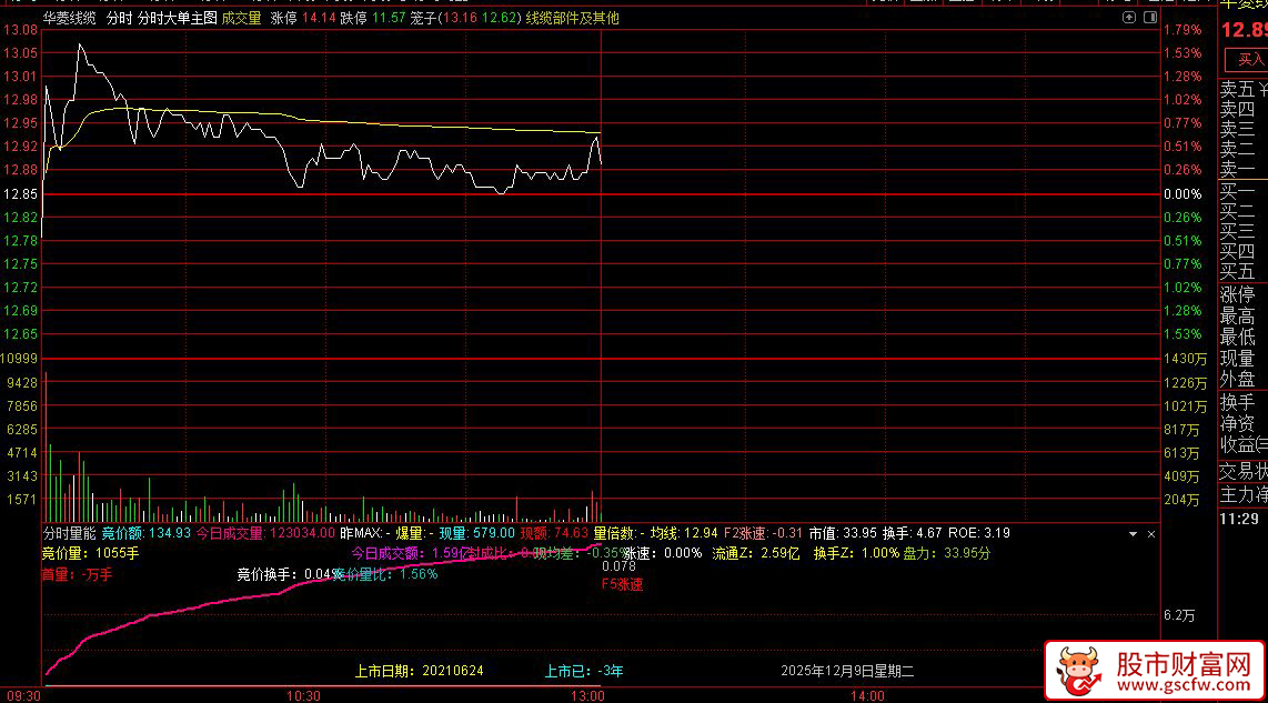 通达信〖分时量能〗通过竞价量、成交量和涨速等数据进行股票分析,分时副图_展示图_04