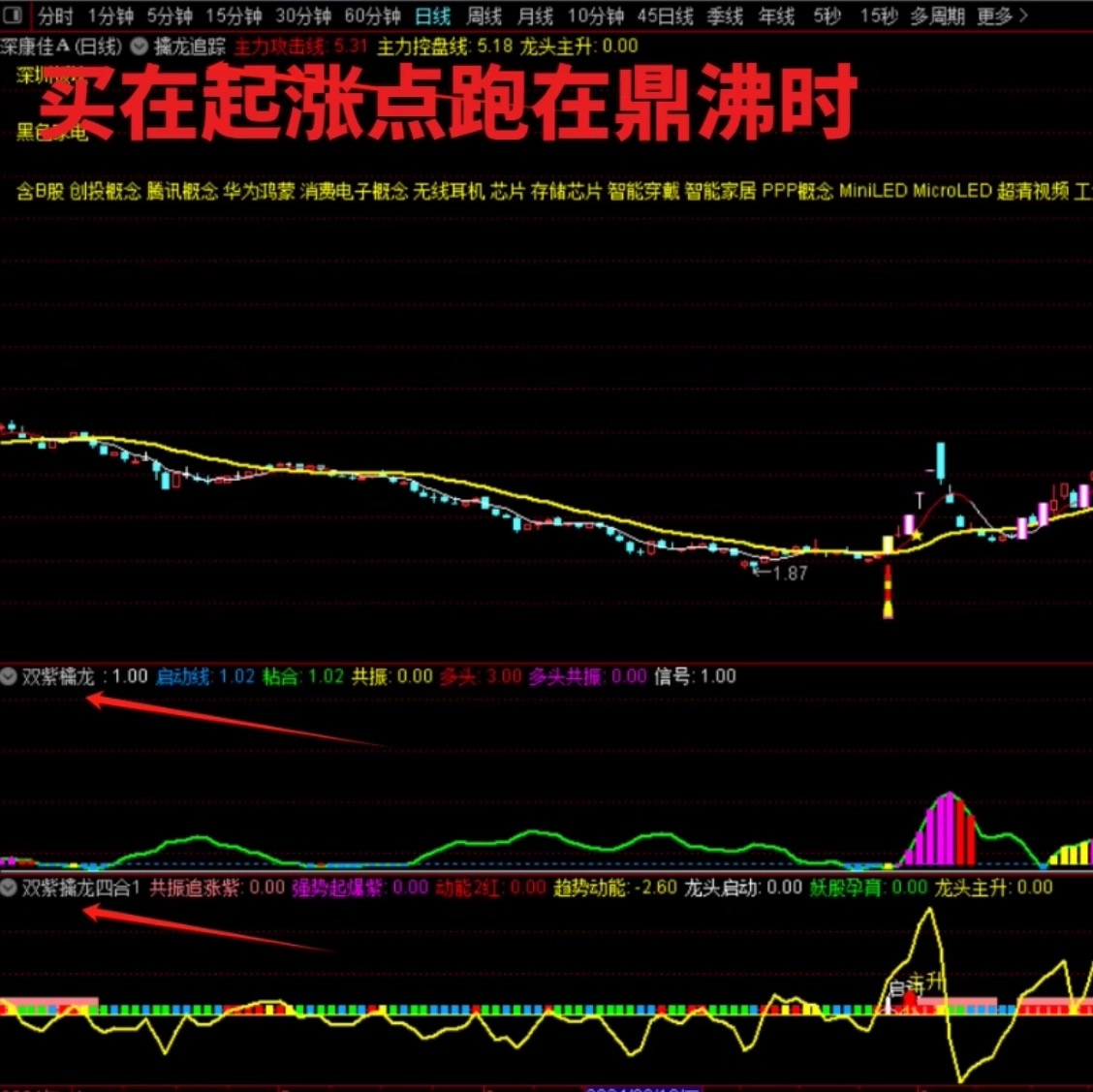 2025新版【双紫擒龙】紫紫红黄庄家控盘分时主力吸筹动能二号起涨高抛低吸_展示图_14 ... ... ... ...