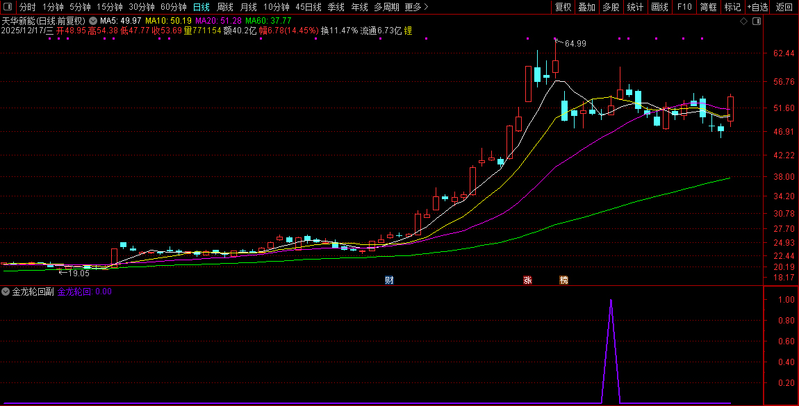 通达信【2026金龙轮回】上涨后的健康回调至关键支撑位,副图+选股_展示图_08