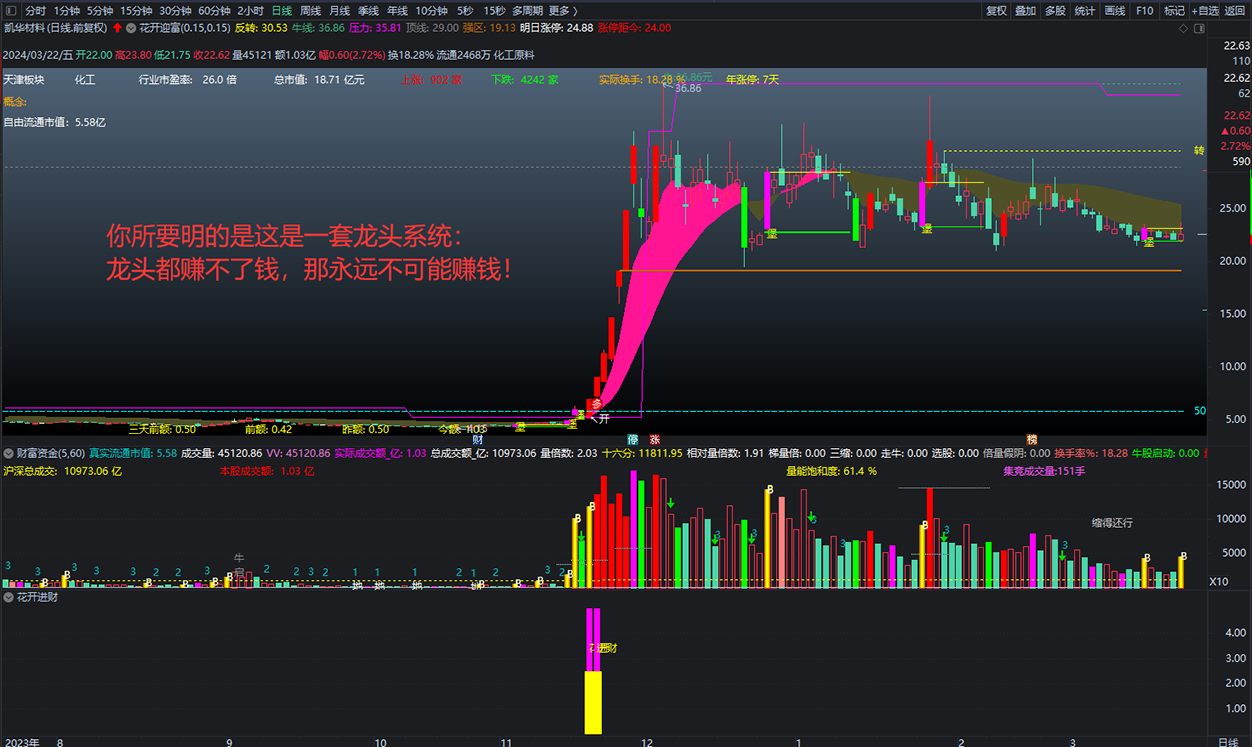 通达信【城堡不破花开迎富】之独创操盘系统首发，研究当前最突出的股票，投资最活跃的龙头股!_展示图_08 .. ...