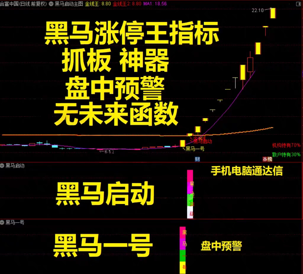 2026【黑马涨停王】预警决策系统-抓板神器、黑马启动、盘中决策、多头趋势启动连续上涨_展示图_01 ... ...  ...