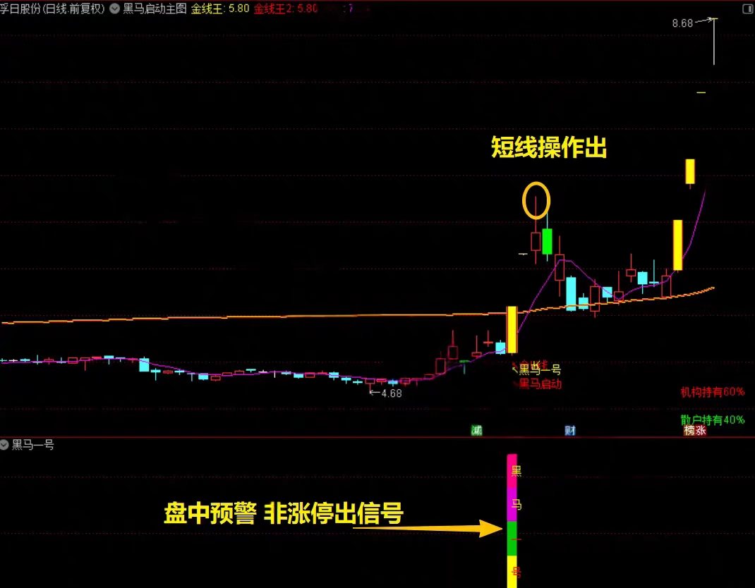 2026【黑马涨停王】预警决策系统-抓板神器、黑马启动、盘中决策、多头趋势启动连续上涨_展示图_07 ... ...  ...