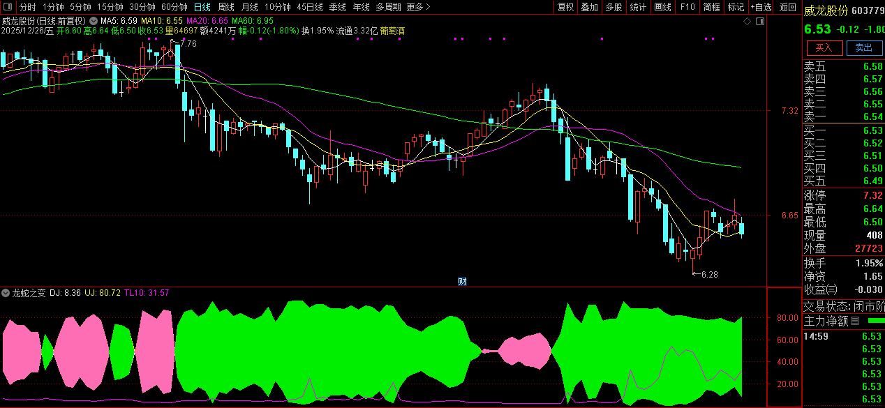 通达信〖龙蛇之变〗副图指标_展示图_06