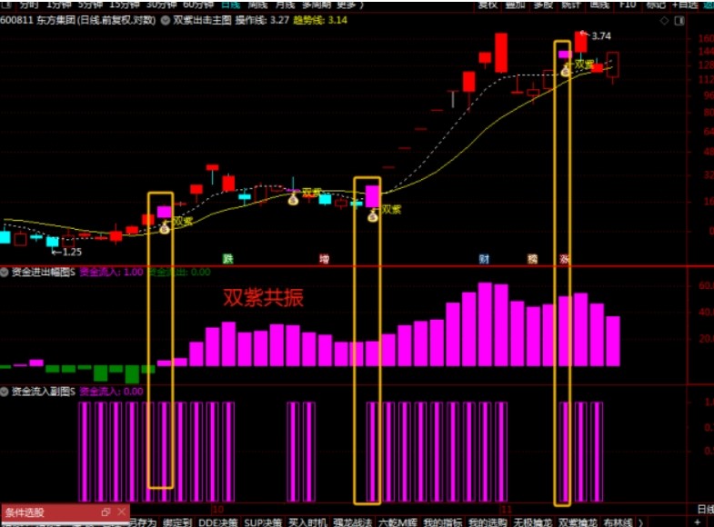 双紫擒龙_展示图_01