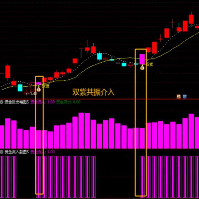 双紫擒龙_展示图_05