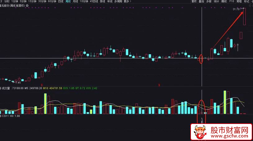 通达信〖周线地量〗副图+选股指标_展示图_01