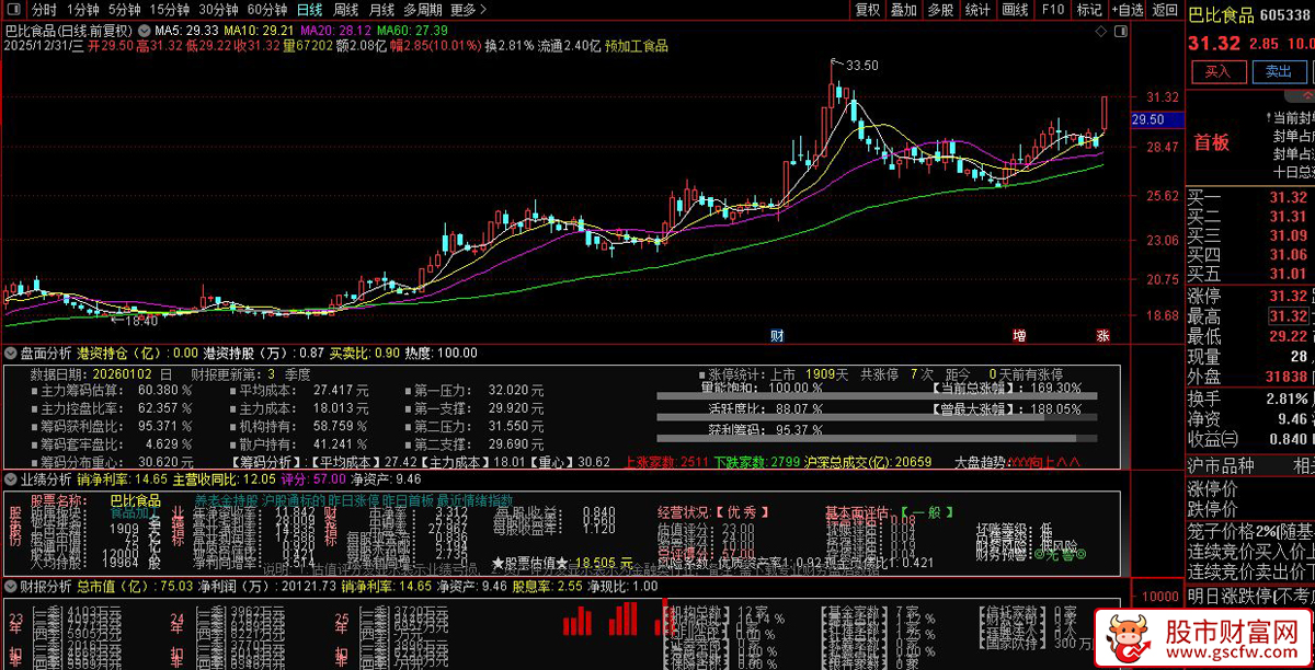 通达信〖盘面业绩财报分析〗副图指标_展示图_02