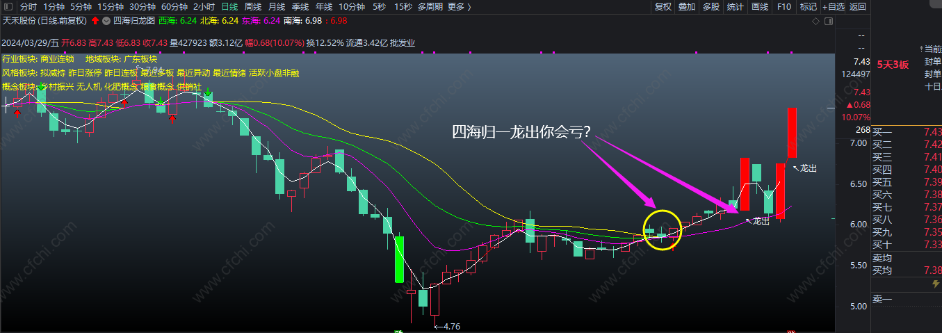 2026【四海归龙图】_展示图_06