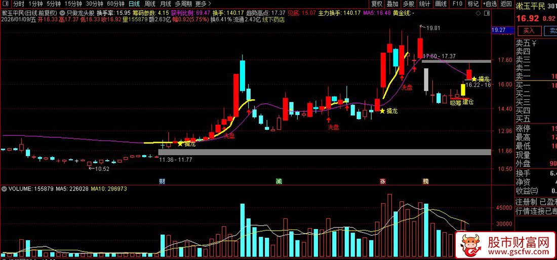 通达信〖只做龙头股〗主图指标_展示图_01