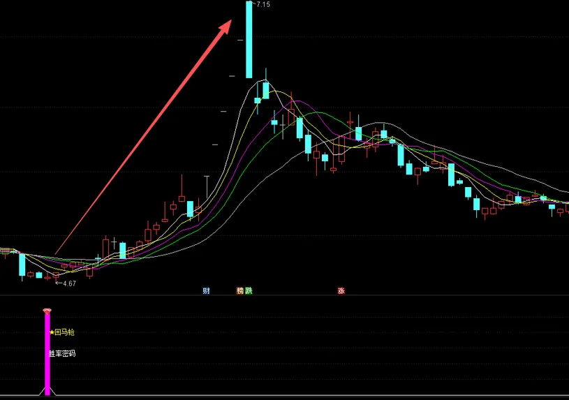 2026王者归来【主力回马枪】副图+选股_展示图_03